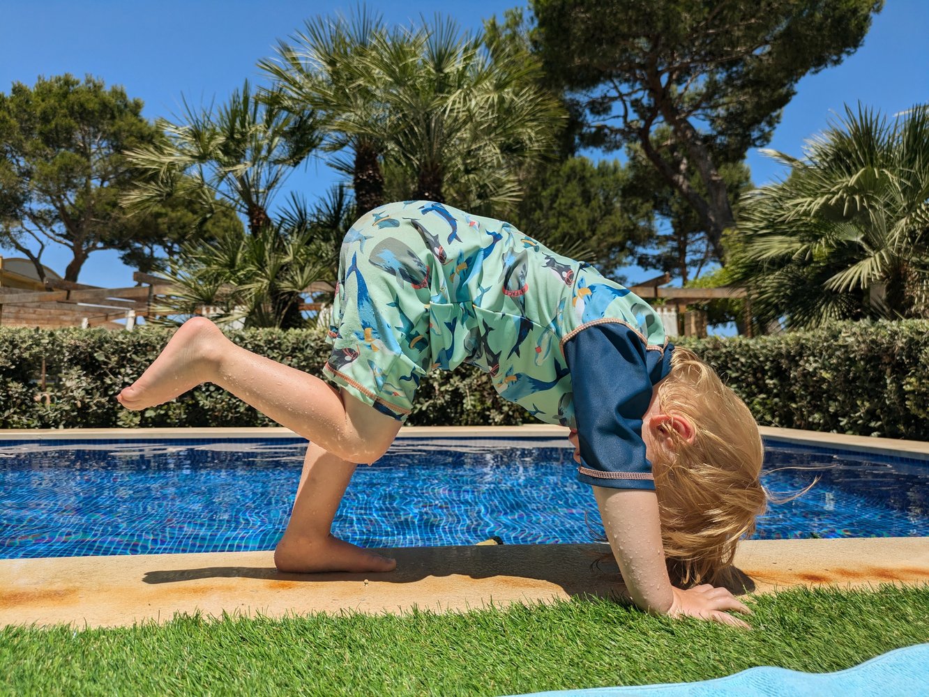 Toddler yoga